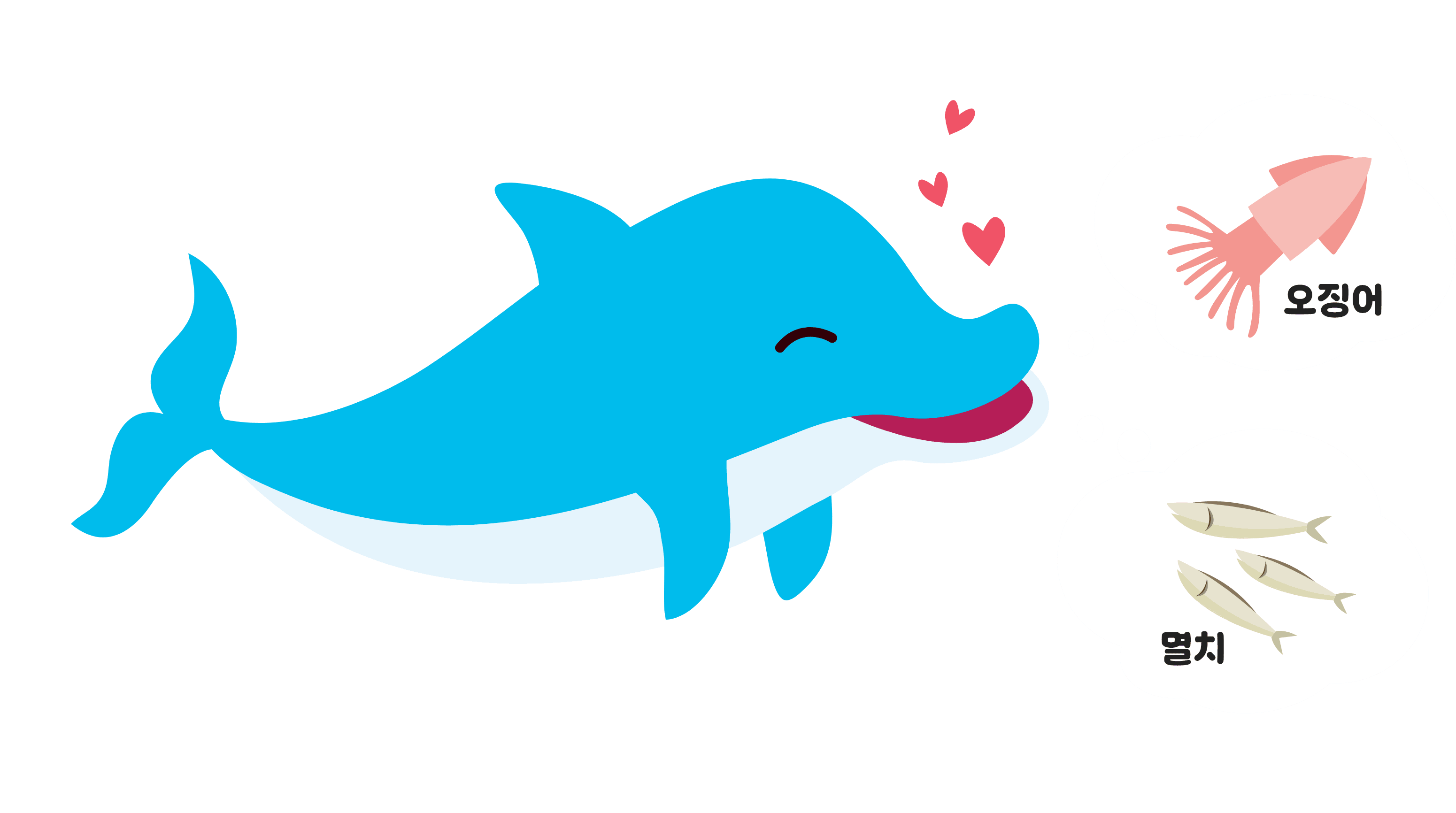 돌고래 OX퀴즈를 해볼거에요!
